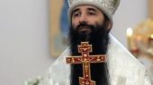 Рождественское поздравление Преосвященного Варсонофия, епископа Бородянского