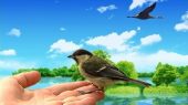 Международному дню птиц посвящается.О синичке и журавле